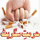 Hurmat e cigarette icône