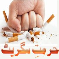 Hurmat e cigarette اسکرین شاٹ 3