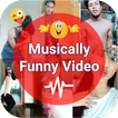 Funny Musically Video Status - मजेदार वीडियो ❤️