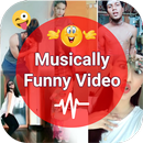 Funny Musically Video Status - मजेदार वीडियो ❤️ APK