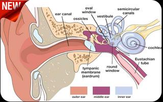 Category of vertigo پوسٹر