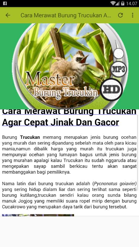 Pikatan Master Burung Trucukan For Android Apk Download