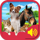 Animal Sounds Effects APK