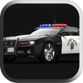 Police Car Hill Racing