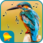 Bird Calls, Sounds & Ringtones-icoon