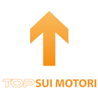 Strumenti Seo TopsuiMotori 圖標