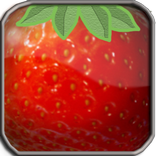 Fruits Bricks