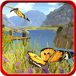 Butterfly 3D Simulator
