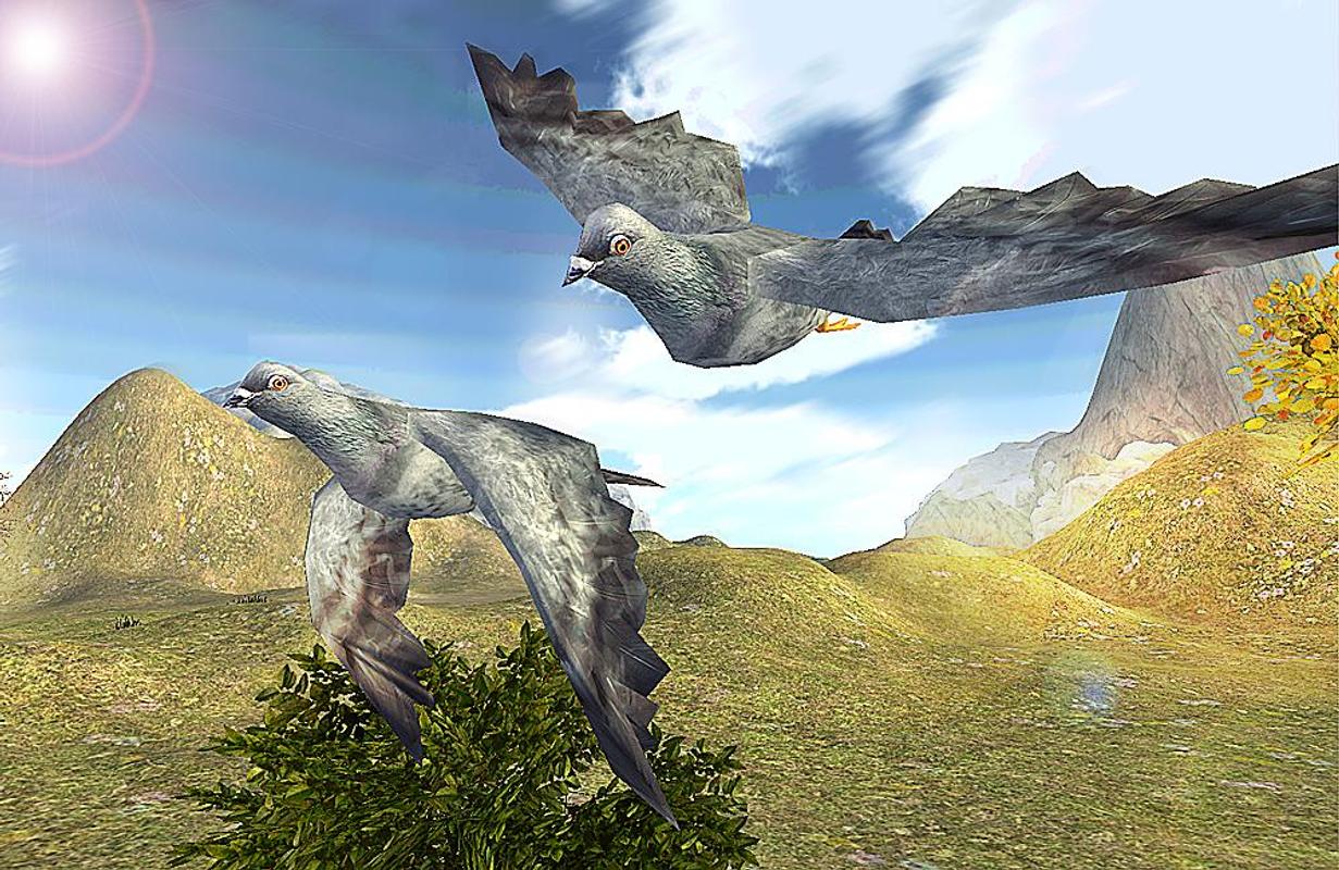 Pigeon Fly Simulator APK Download - Free Simulation GAME ...