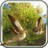 Sparrow 3D Simulator