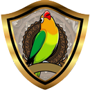 TERAPI LOVEBIRD PAUD | Simulasi Lomba APK