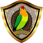 TERAPI LOVEBIRD PAUD | Simulasi Lomba icône