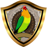 TERAPI LOVEBIRD PAUD | Simulasi Lomba biểu tượng