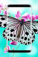 Butterfly Wallpapers HD capture d'écran 3