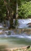 Beautiful aquatic cascade পোস্টার