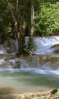 Beautiful aquatic cascade স্ক্রিনশট 1