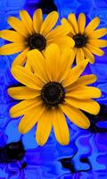 Beautiful flowers on blue Cartaz