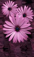 Beautiful flowers on violet 스크린샷 1