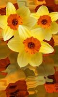 Beautiful flowers on yellow الملصق