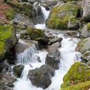 Beautiful summer waterfall APK