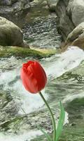 Belles tulipes et le ruisseau capture d'écran 1