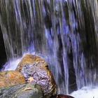 Fighting water and stone أيقونة