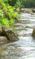 Movement mountain river capture d'écran 2