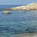 Morning at the seaside-APK