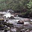 Stormy mountain river