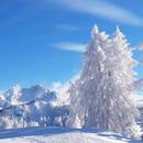 Snow wallpaper APK