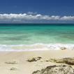 Sandy beach and the sea