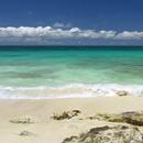 Sandy beach and the sea APK