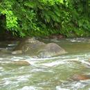 Stones in rough water APK