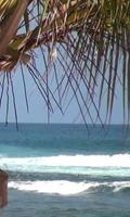Surf in the shade of palm screenshot 1