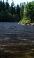 River shine screenshot 1