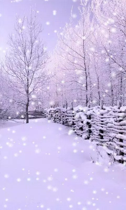 Wonderful snow-fall APK for Android Download