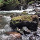 Water and stone live wallpaper APK