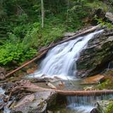 Waterfall in the forest icon