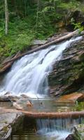 Waterfall in the forest-poster