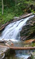 Waterfall in the forest Ekran Görüntüsü 1