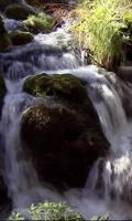 Water and stone in the green Affiche