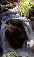 Water and stone in the green screenshot 1