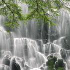 Wonderful wall of waterfall icon