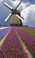 پوستر Windmill among flowers