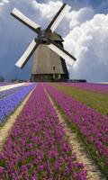 Windmill among flowers screenshot 1