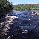 The mouth of a large river APK
