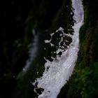 The magic ofwater and greenery biểu tượng