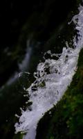 The magic ofwater and greenery bài đăng