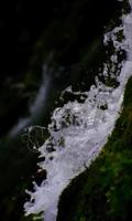 The magic ofwater and greenery capture d'écran 1