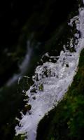 The magic ofwater and greenery capture d'écran 2